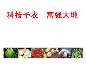杏树栽培技术.ppt