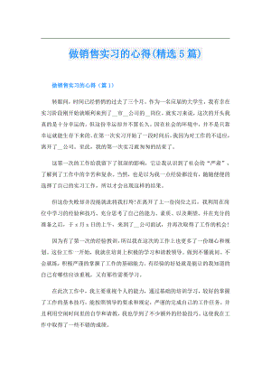 做销售实习的心得(精选5篇).doc