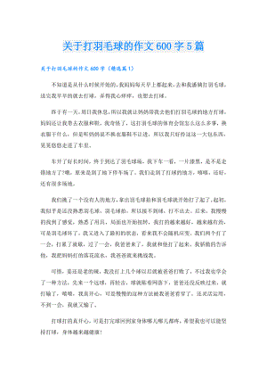 关于打羽毛球的作文600字5篇.doc