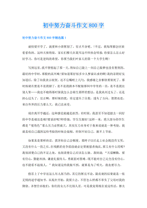 初中努力奋斗作文800字.doc