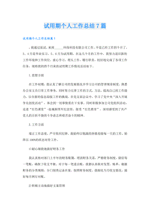 试用期个人工作总结7篇.doc