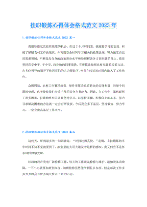 挂职锻炼心得体会格式范文2023年.doc