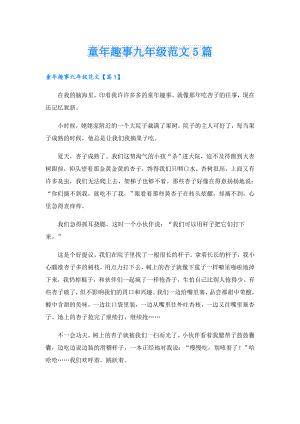 童年趣事九年级范文5篇.doc