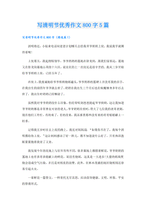 写清明节优秀作文800字5篇.doc