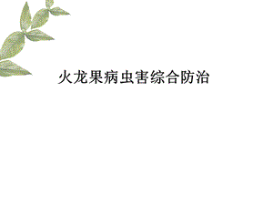 火龙果病虫害.ppt