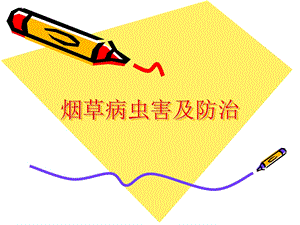 烟草病虫害及防治.ppt