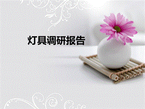 灯具调研报告..ppt