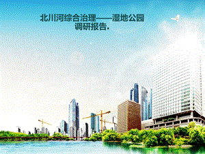 湿地公园调研报告.ppt