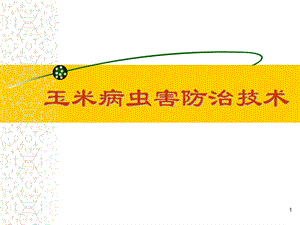 玉米病虫害防治(1208修改).ppt