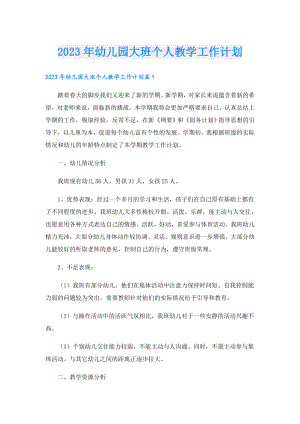 2023年幼儿园大班个人教学工作计划.doc
