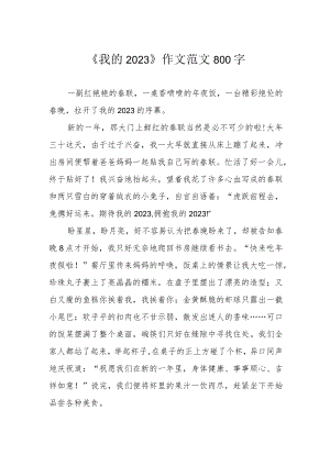 《我的2023》作文 范文 800字.docx