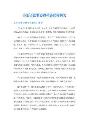 小王子读书心得体会优秀例文.doc