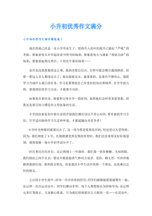 小升初优秀作文满分.doc