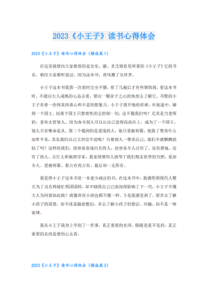 2023《小王子》读书心得体会.doc