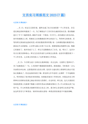文员实习周报范文2023(7篇).doc