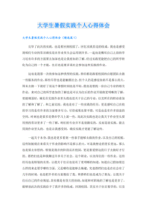 大学生暑假实践个人心得体会.doc