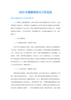 2023乡镇森林防火工作总结.doc