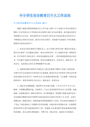 中小学生安全教育日个人工作总结.doc