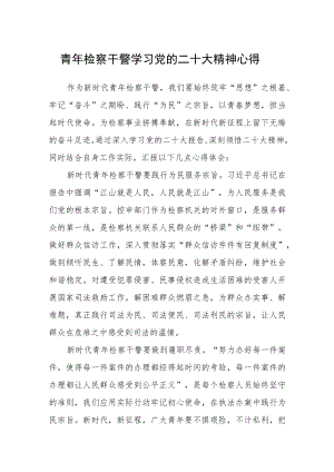 青年检察干警学习党的二十大精神心得通用版(三篇).docx