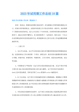 2023年试用期工作总结10篇.doc
