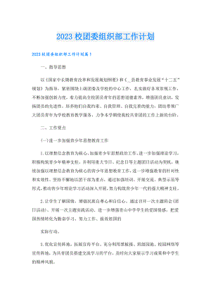 2023校团委组织部工作计划.doc