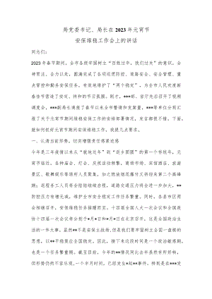 【精品材料】局党委书记、局长在2023年元宵节安保维稳工作会上的讲话.docx