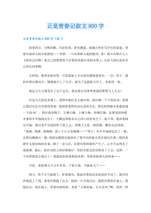 正是青记叙文800字.doc