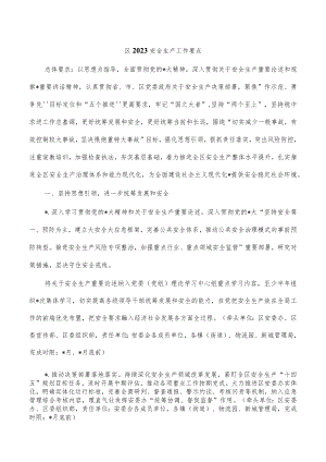 区2023安全生产工作要点.docx