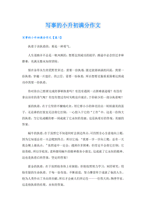 写事的小升初满分作文.doc