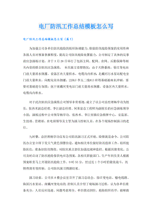 电厂防汛工作总结模板怎么写.doc