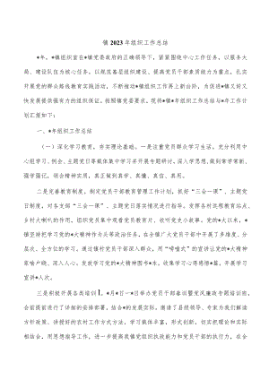 镇2023年组织工作总结.docx