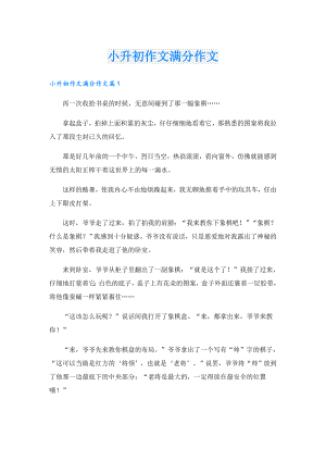 小升初作文满分作文.doc