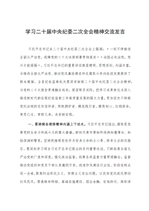 学习二十届中央纪委二次全会精神交流发言.docx