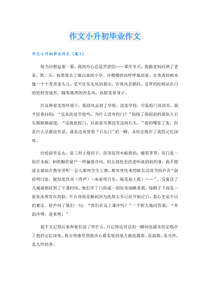 作文小升初毕业作文.doc