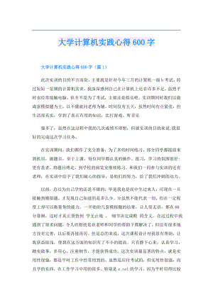大学计算机实践心得600字.doc
