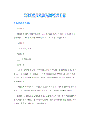 2023实习总结报告范文8篇.doc