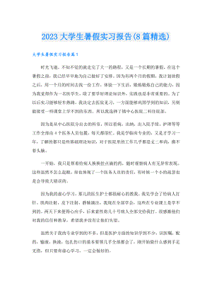 2023大学生暑假实习报告(8篇精选).doc