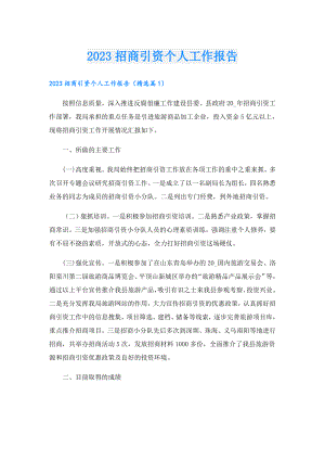 2023招商引资个人工作报告.doc