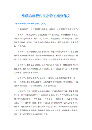 小学六年级作文小升初满分作文.doc