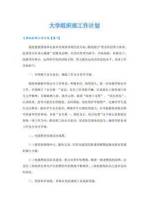 大学组织部工作计划.doc