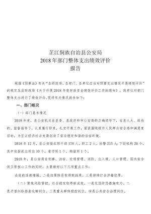 芷江侗族自治县公安局2018年部门整体支出绩效评价报告.docx