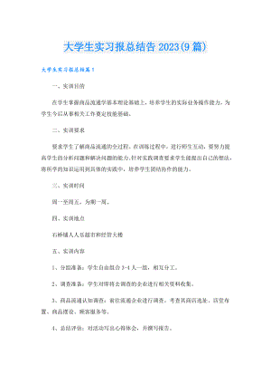 大学生实习报总结告2023(9篇).doc