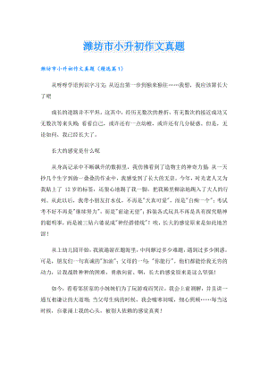潍坊市小升初作文真题.doc