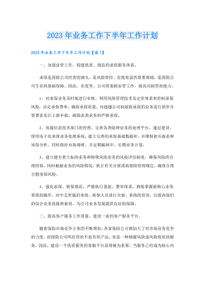 2023年业务工作下半年工作计划.doc