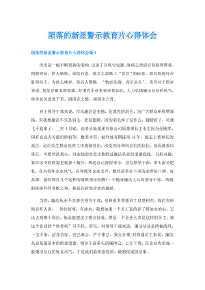 陨落的新星警示教育片心得体会.doc