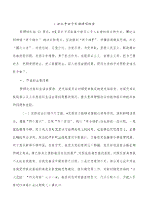 支部班子六个方面对照检查.docx