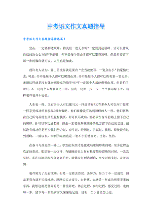 中考语文作文真题指导.doc