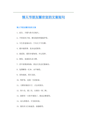 情人节朋友圈官宣的文案短句.doc