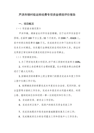 芦洪市镇村级运转经费专项资金绩效评价报告.docx