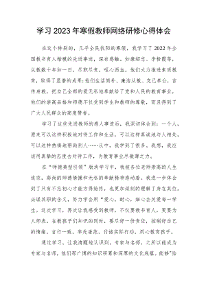 中小学教师学习2023年寒假网络研修心得体会范文模板.docx